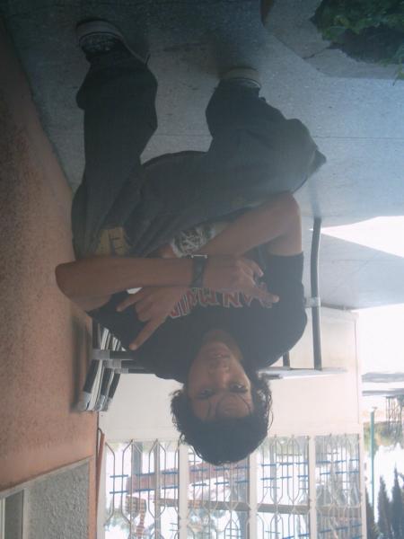 spidermoufid